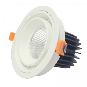 Rodada e forma quadrada LED ceilling lâmpada COW 20W 30W embutido luz de montagem de montagem de luz embutida
